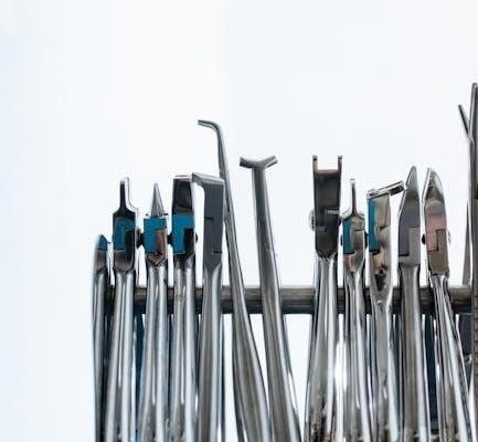 oral hygiene instructions dental code