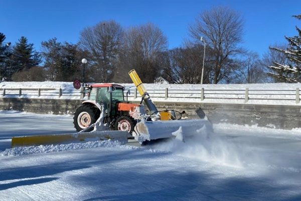 craftsman snow blower user guide